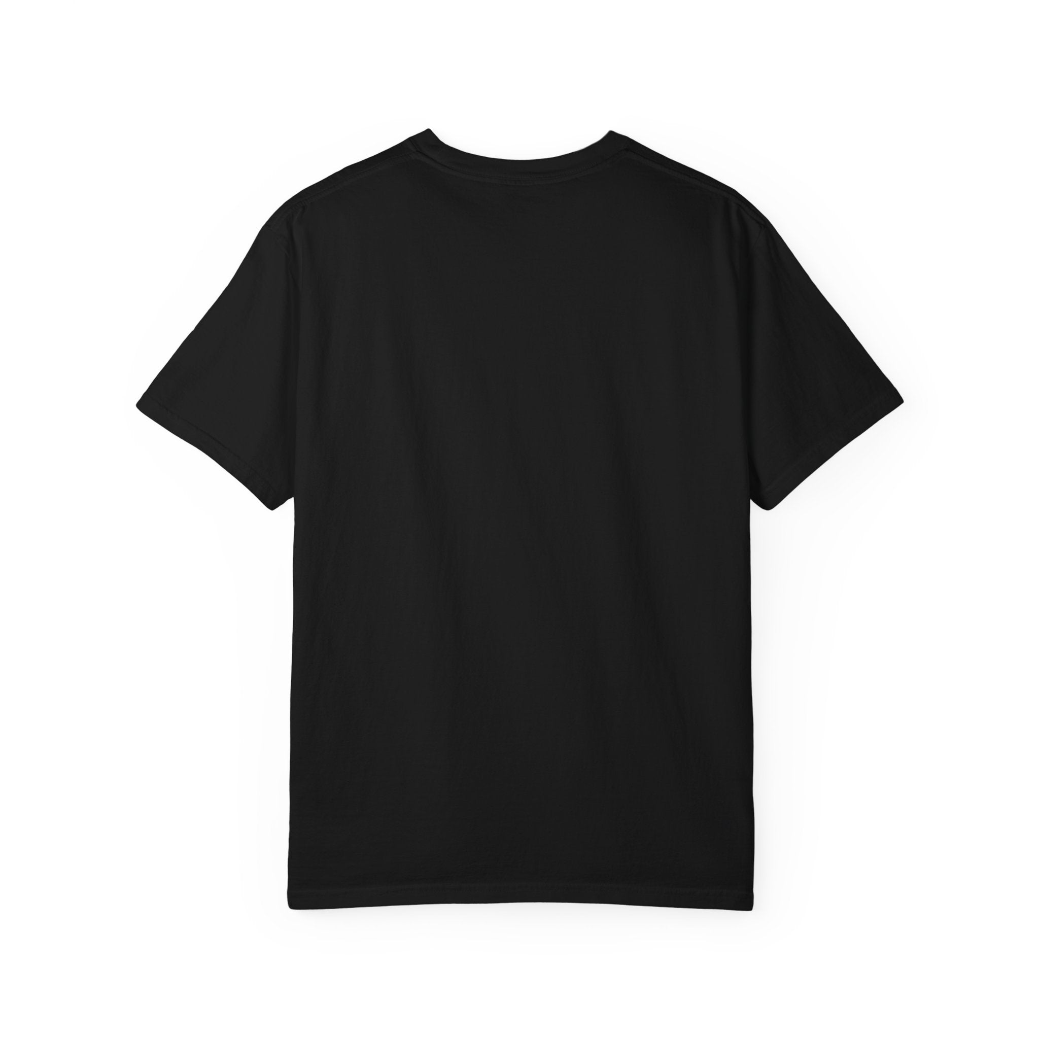 Captain Save A Hoe Graphic T-Shirt – Funny Nautical Sailor Tee