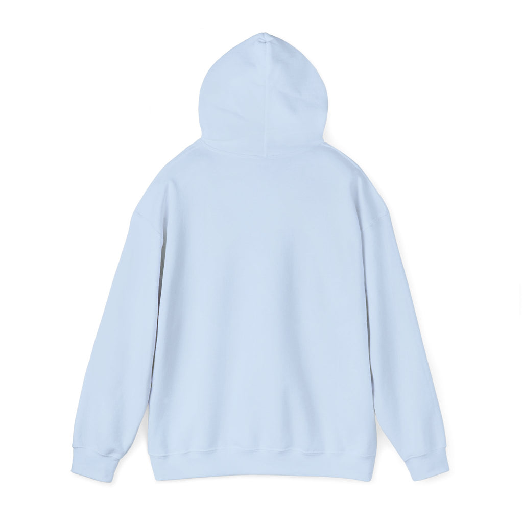 "Captain Save a Hoe" Hoodie