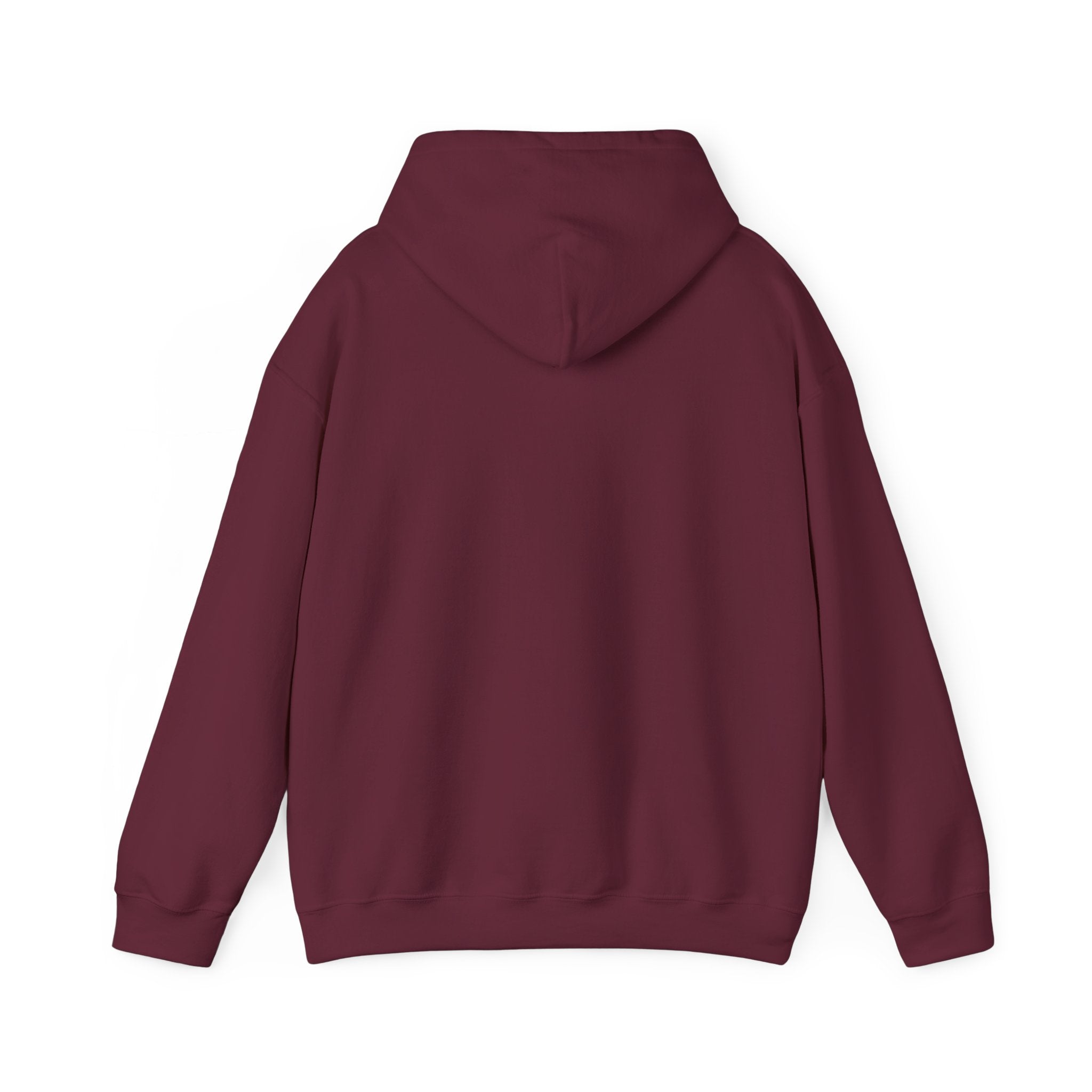 "Captain Save a Hoe" Hoodie
