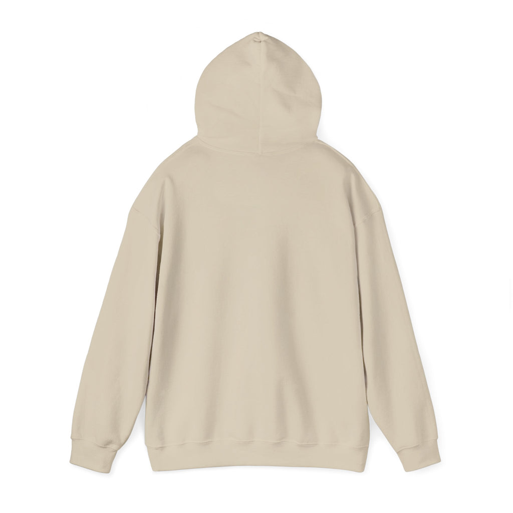 "Captain Save a Hoe" Hoodie
