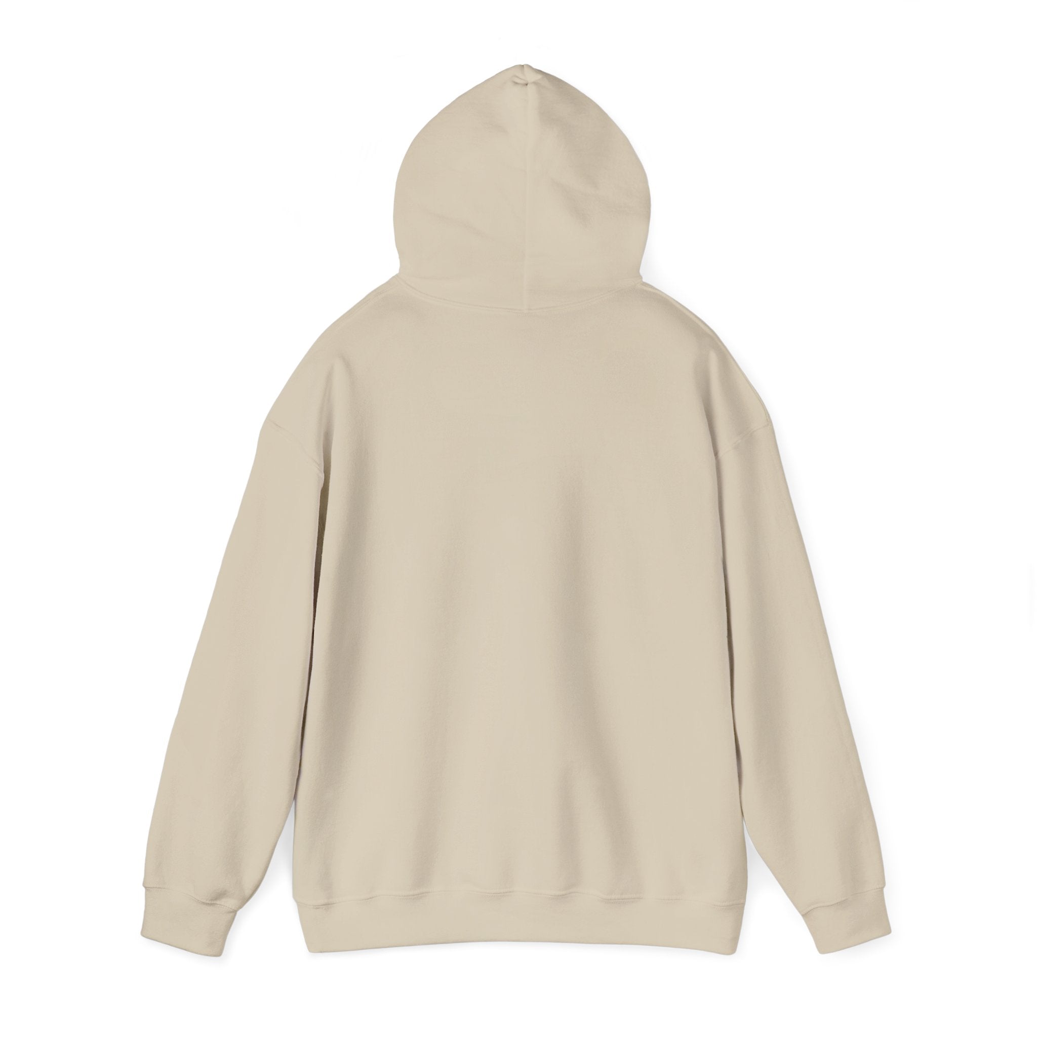 "Captain Save a Hoe" Hoodie