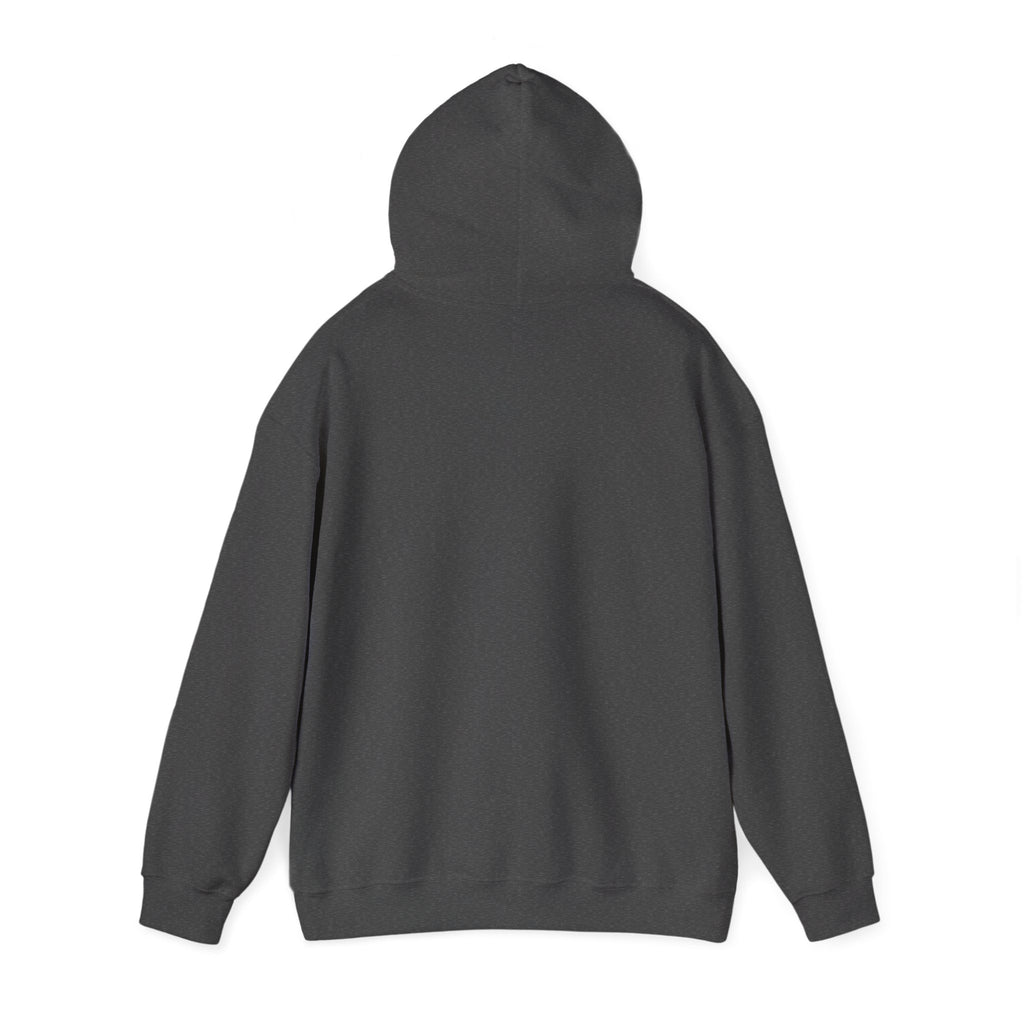 "Captain Save a Hoe" Hoodie