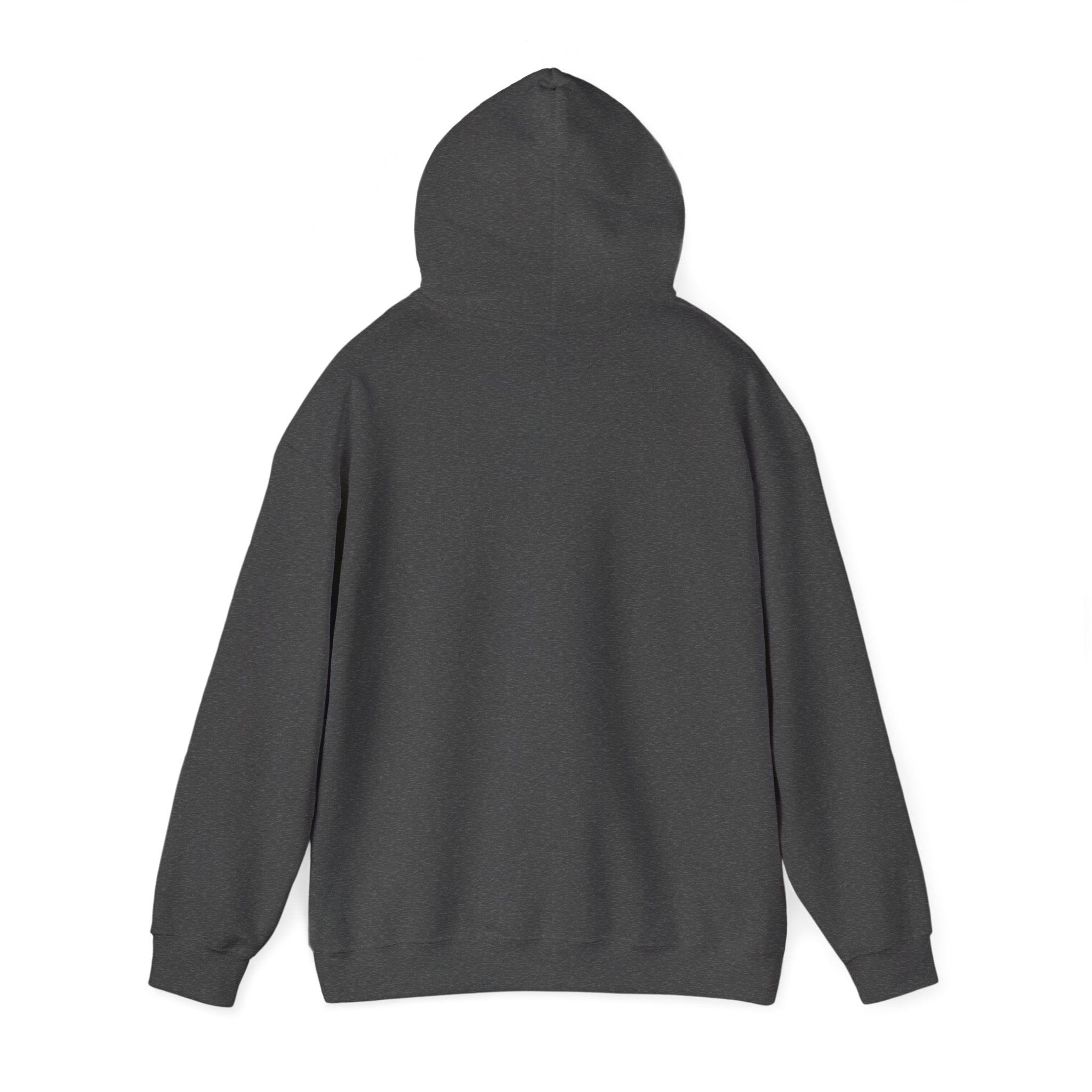 "Captain Save a Hoe" Hoodie