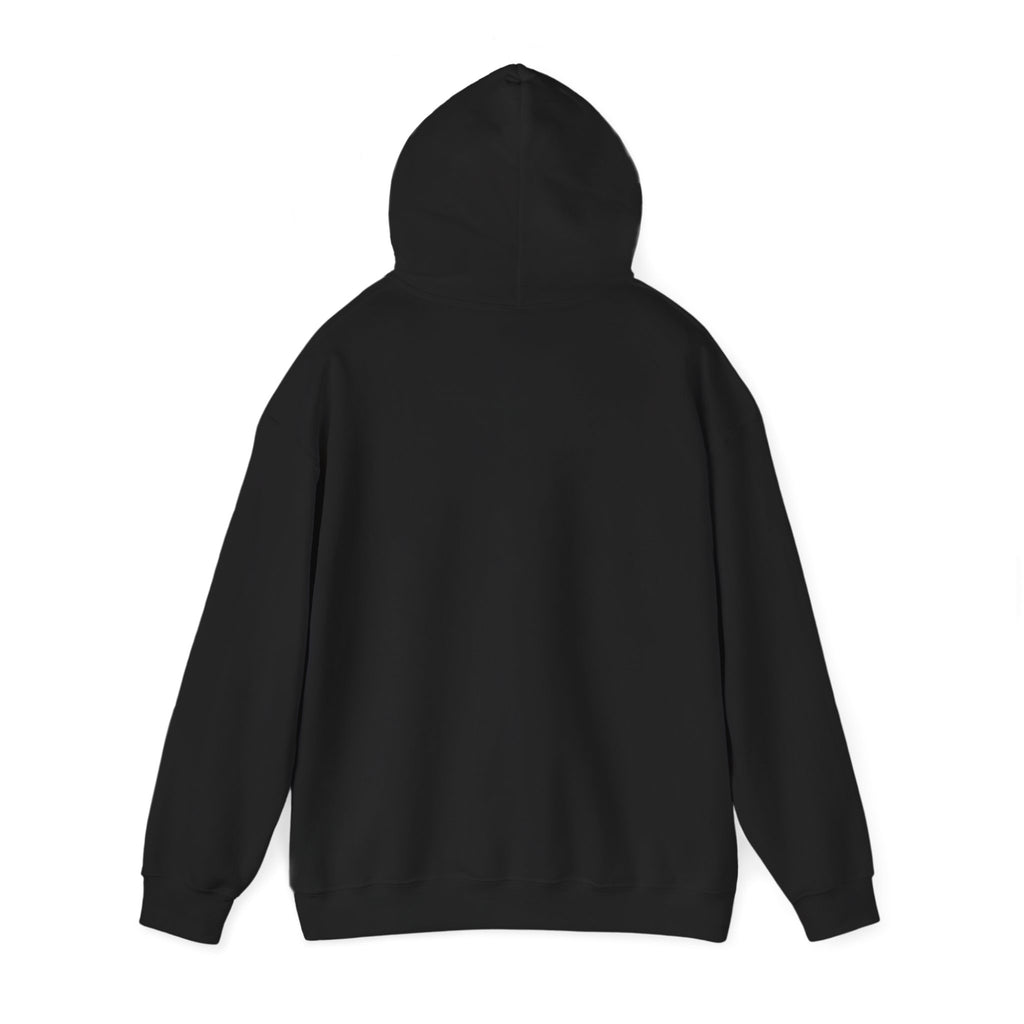 "Captain Save a Hoe" Hoodie