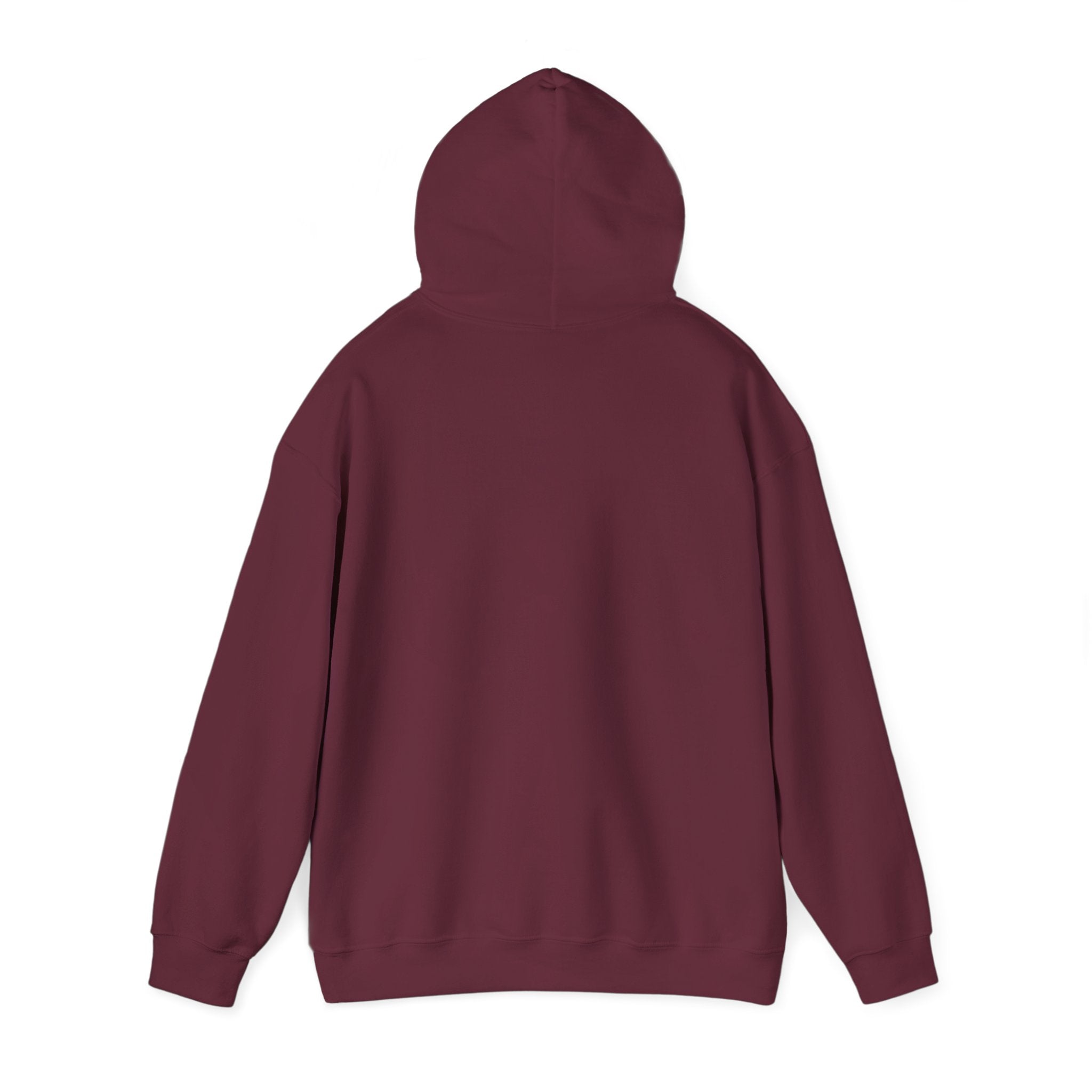 "Captain Save a Hoe" Hoodie