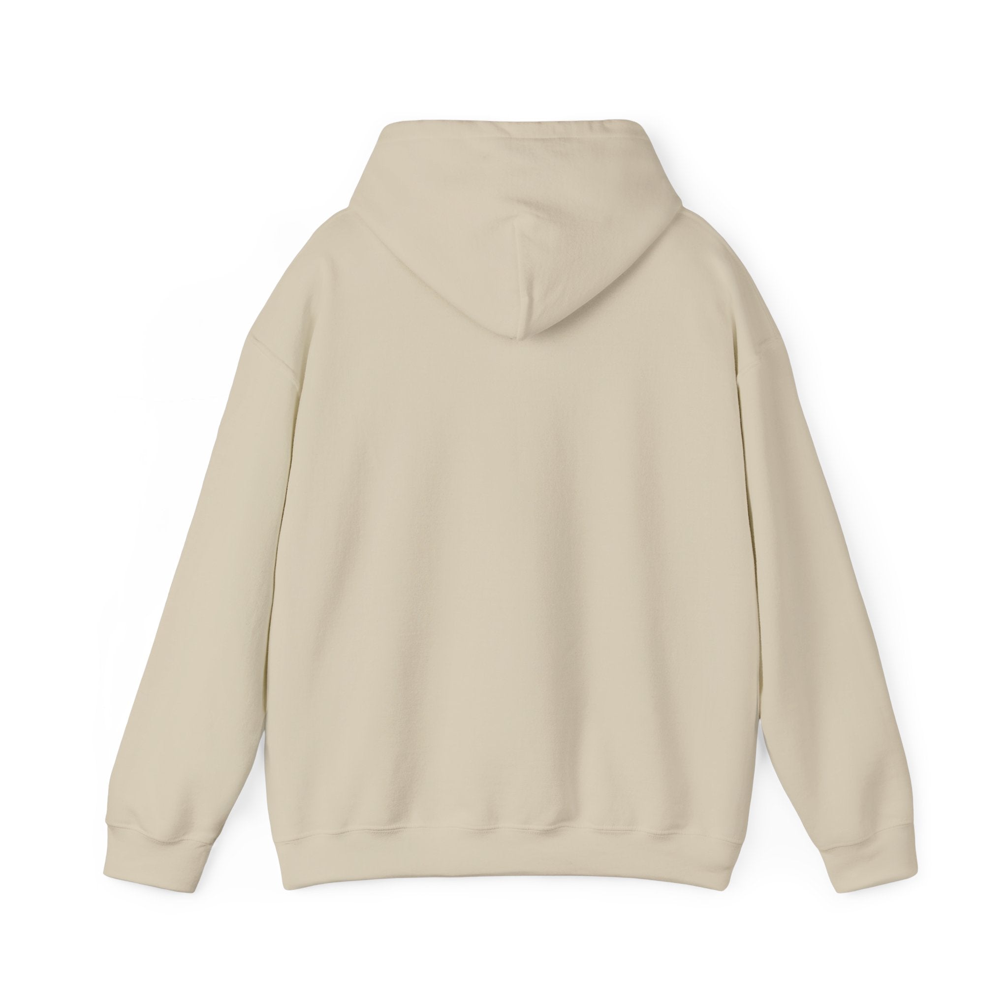 "Captain Save a Hoe" Hoodie