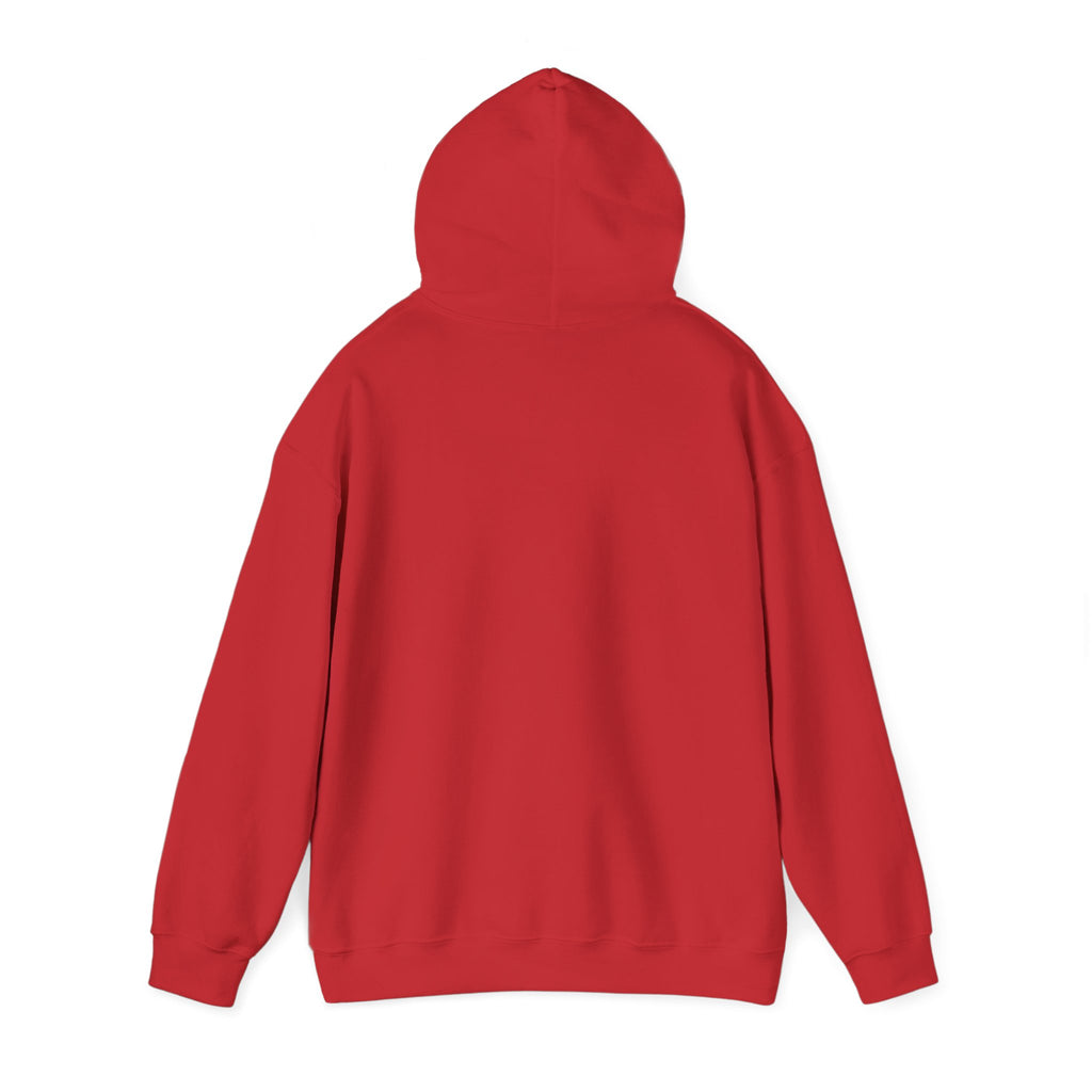 "Captain Save a Hoe" Hoodie