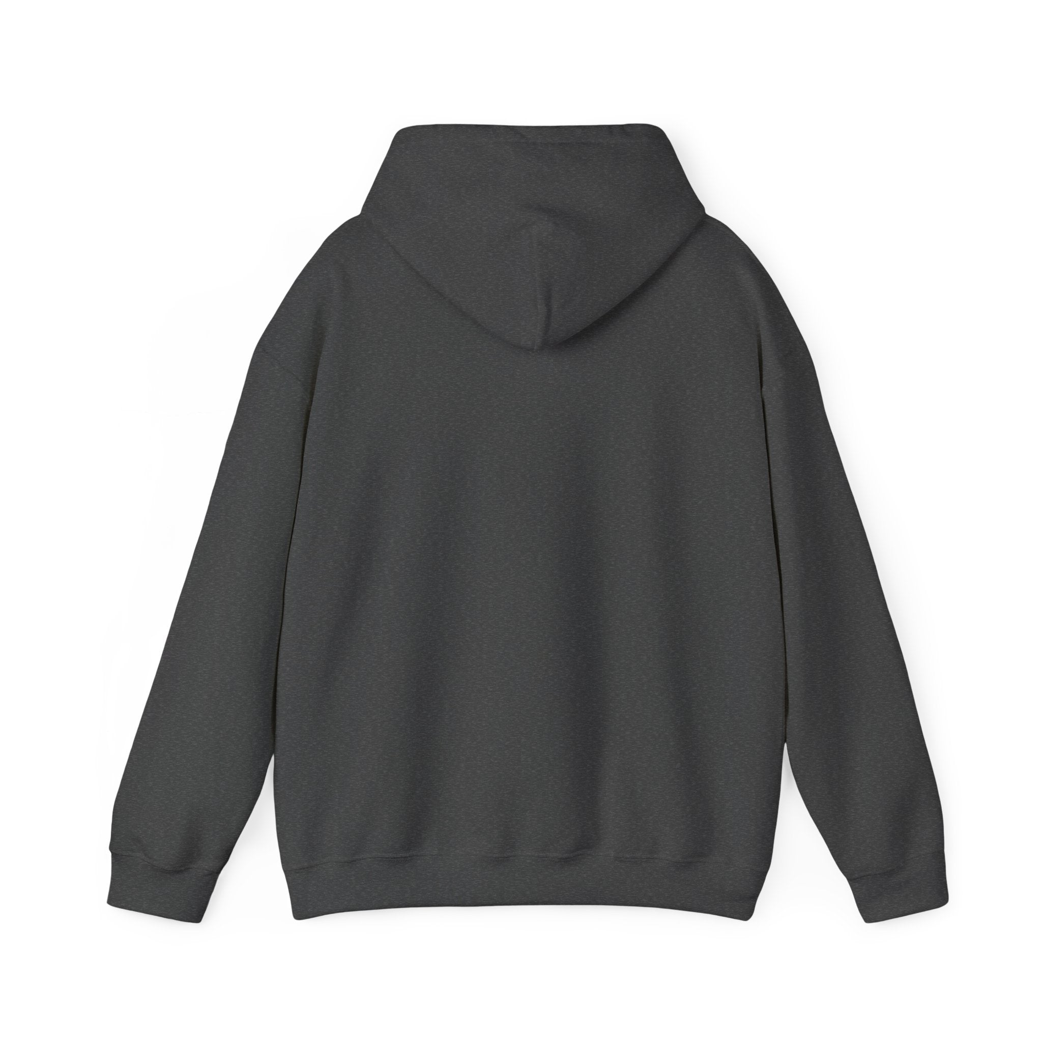 "Captain Save a Hoe" Hoodie