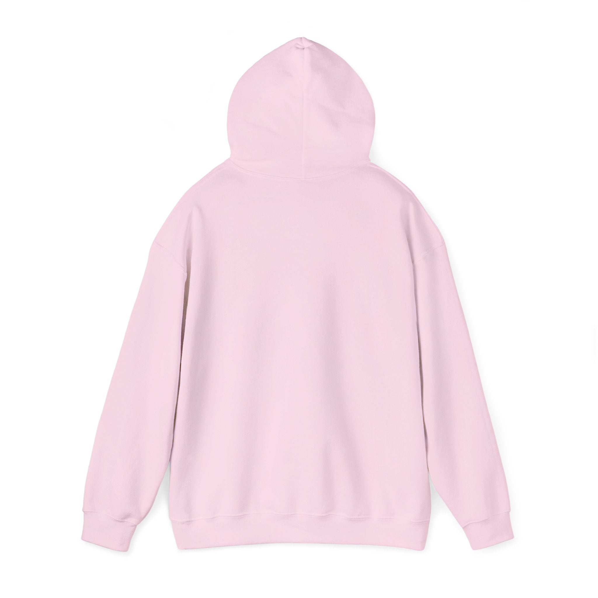 "Captain Save a Hoe" Hoodie