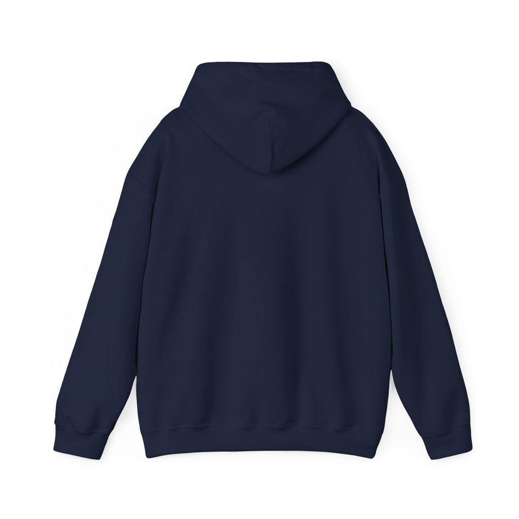 "Captain Save a Hoe" Hoodie