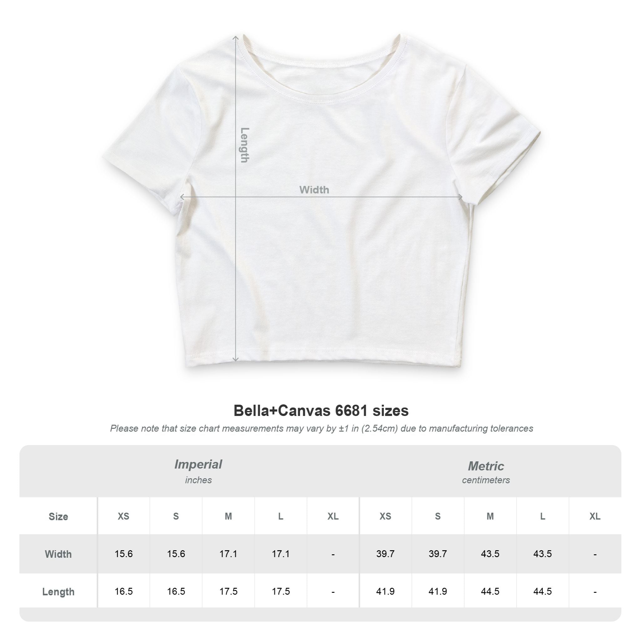 Crop Tee — “My Tits Are Big Because That’s Where I Store My Rage” Sassy Graphic