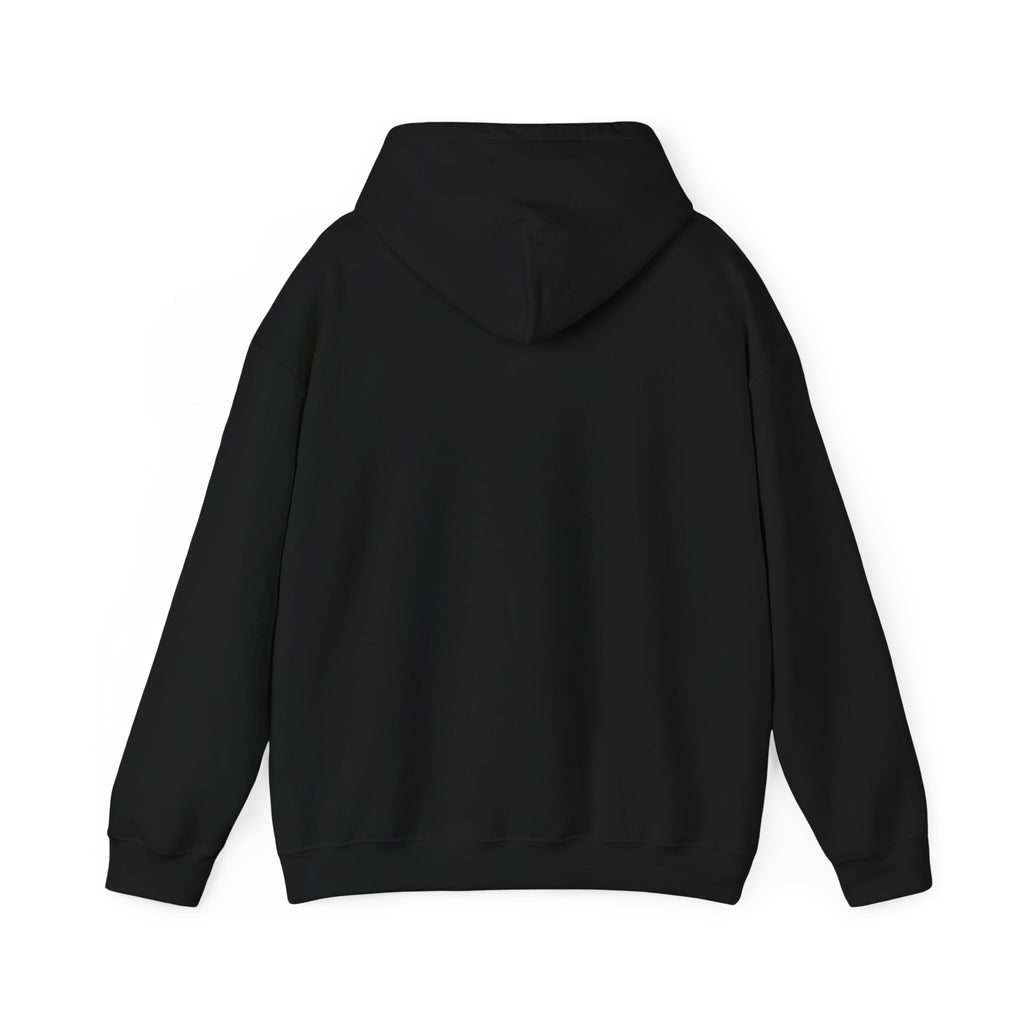 "Captain Save a Hoe" Hoodie